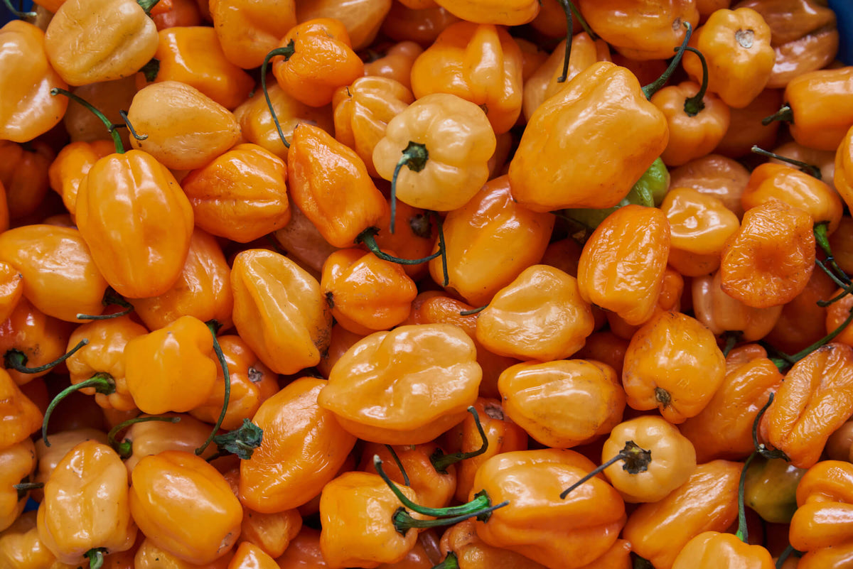 Habanero Pepper - Spice Level