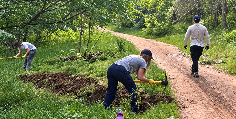 Three Chomps Employees outdoors on a dirt path in a wooded area, with one person digging a hole in the grass while another walks away and a third person works on the left.