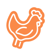 An orange line-art icon of a chicken