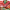 is salami keto