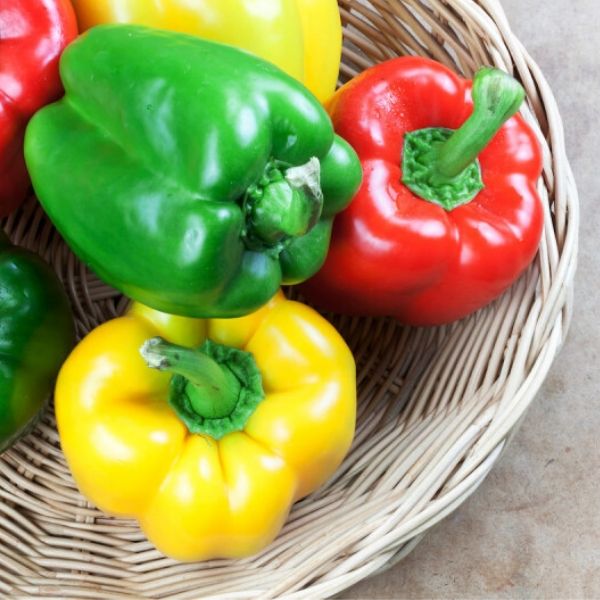 are bell peppers low carb