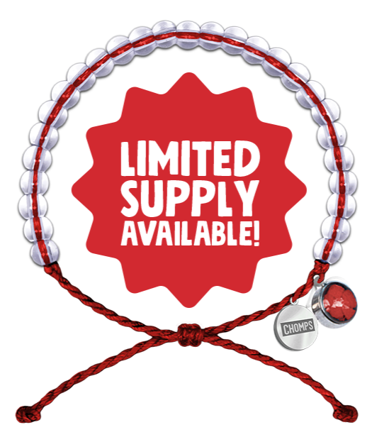 4Ocean Bracelet | Chomps