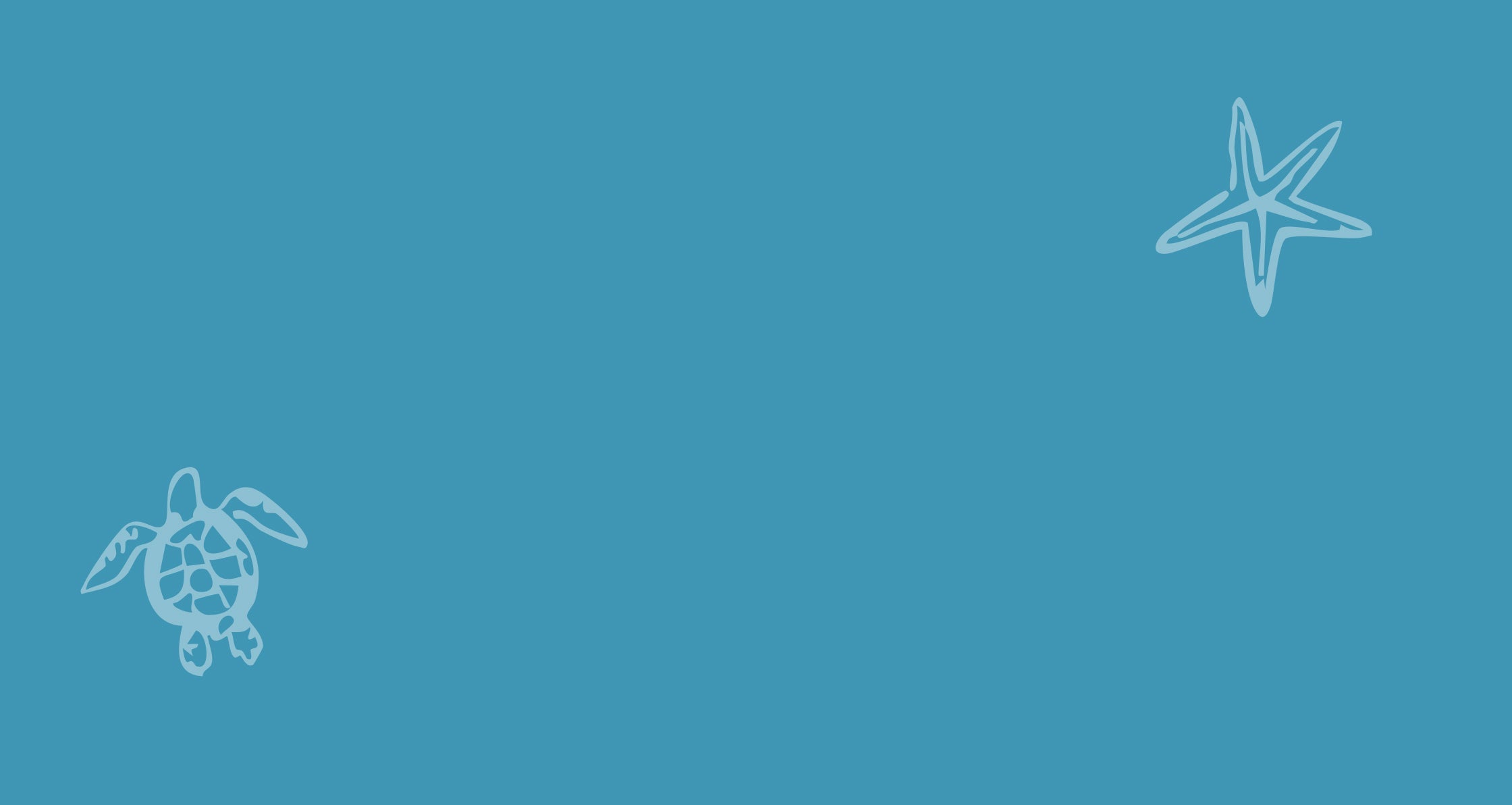 A solid blue background with minimalist white line drawings of a sea turtle in the lower left and a starfish in the upper right.