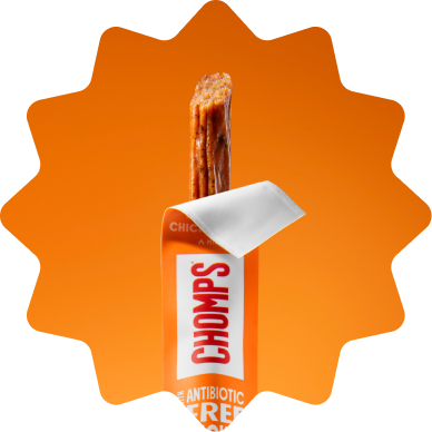 Chomps Chicken stick on an orange background