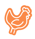 An orange line-art icon of a chicken 