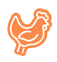 An orange line-art icon of a chicken 